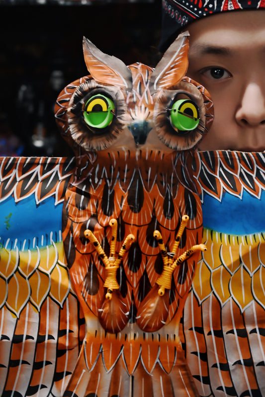 The owl kite will take you to unlock the mysterious charm of high altitude